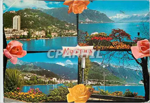Cartes postales moderne Montreux Marseilles Marguerite