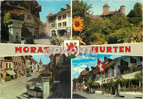 Cartes postales moderne Morat Murten Maison gothique et le Chateau Le Chateau Grand Rue Rue de l Hotel de Ville et le Ch