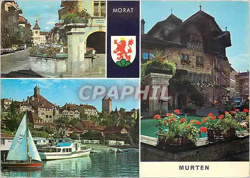 Cartes postales moderne Morat Murten Helvetia Zurich Reproduction interdite