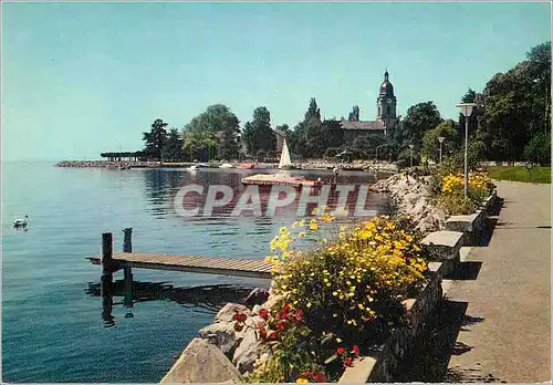 Cartes postales moderne Morges Mr Iz be Quai fleur Iris Mexichrome Reproduction interdite