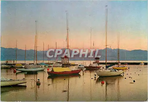 Cartes postales moderne Morges Le port au crepuscule Der Hafen bei Abenddammerung Il porto al crepuscolo Reproduction in