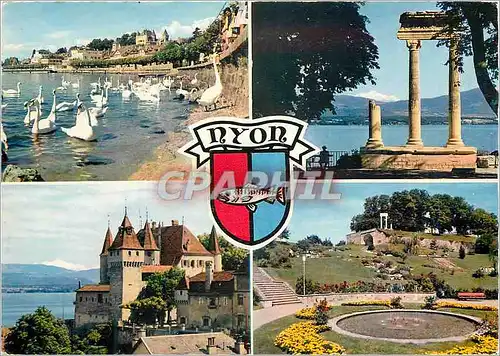 Cartes postales moderne Nyon Iris Mexichrome Reproduction interdite Editions jaeger Geneve