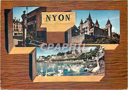 Cartes postales moderne Nyon Nyon La Fontaine de Maitre Jacques Le Chateau Les Quais Prevenir Guerir Rajeunir Stations T