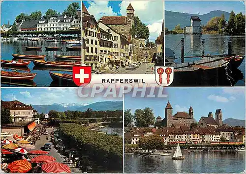 Cartes postales moderne Rapperswil Rapperswil Amzurichsee