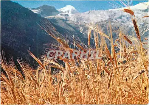 Cartes postales moderne Saas Fee