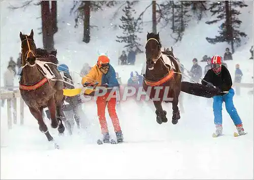 Moderne Karte Skikjoring auf dem St Moritzersee Chevaux