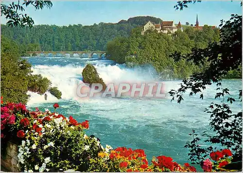 Cartes postales moderne Rheinfall mit Schoss Laufen Totale Breite totale Hohe Tiefe des Rheinfallbeckens Mittiere Sommer