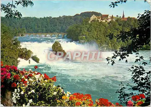 Cartes postales moderne Rheinfall mit Schoss Laufen Totale Breite  totale Hohe Tiefe des Rheinfallbeckens Mittiere Somme