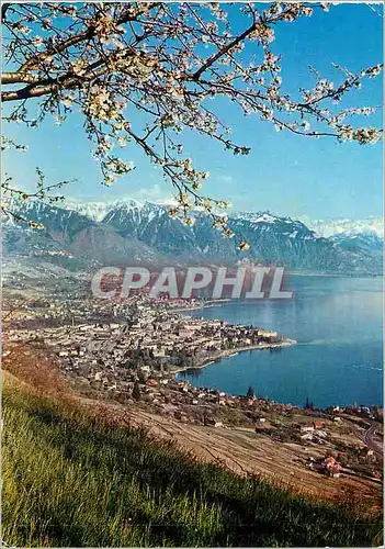 Cartes postales moderne Vevey