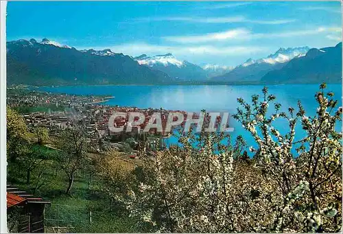 Cartes postales moderne Vevey et les Alpes Vevey und Alpen Vevey le Alpi