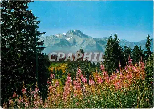 Cartes postales moderne Villars s Ollon Les Dents du Midi