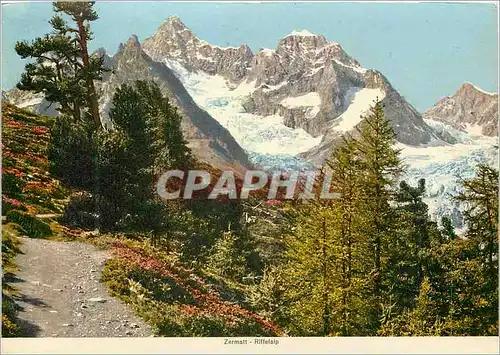 Cartes postales moderne Zermatt Rifferlalp
