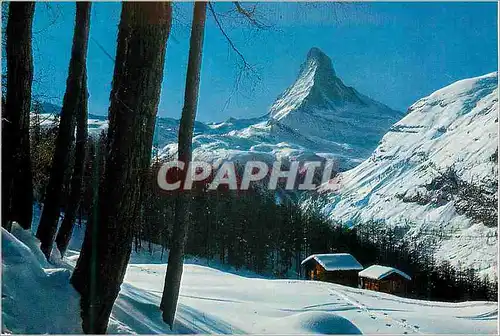Cartes postales moderne Zermatt Matterhorn Zermatt am Matterhorn Ferien Nach Mass