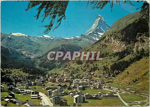 Cartes postales moderne Zermatt Matterhorn Mt Cervin Internationales Jahr Des Buches