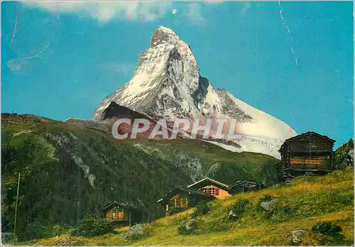 Cartes postales moderne Winkelmatten bei Zermatt Mit Matterhorn Helvetia