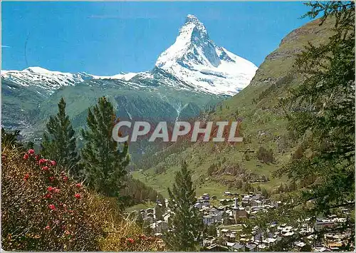 Cartes postales moderne Zermatt mit Matterhorn Tag der lungen