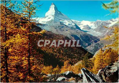 Cartes postales moderne Chefs d ceuvre d Art Roman au solei Arles sur Tech