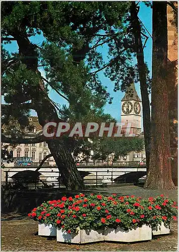 Cartes postales moderne Zurich Blick auf Munsterbrucke und St Peterskirche