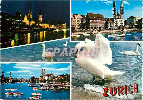 Cartes postales moderne Zurich Helvetia Cygne
