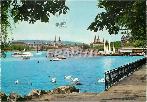 Cartes postales moderne Zurich Seefeldquai