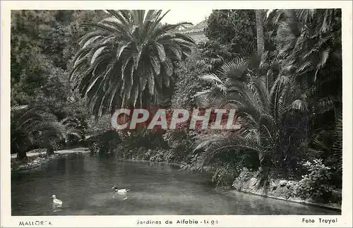 Cartes postales moderne Mallorca Jardines de Alfabia Lago Foto Truyal