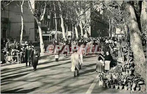 Cartes postales moderne Barcelona Serie Rambla de las Flores La Rambla des Fleurs Blumen Rambla Foto J Cebollero  Distri