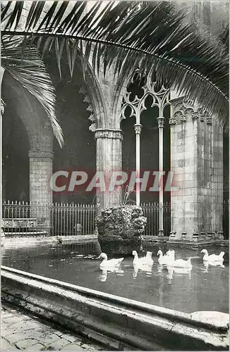 Cartes postales moderne Barcelona Catedral Claustro y ocas Espana Correos