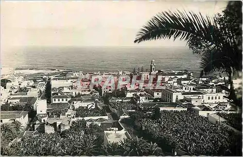 Cartes postales moderne Puerto de la Cruz Tenerife Vista Parcial Vue Partielle Ediciones Arribas Zaragoza Prohibida la r