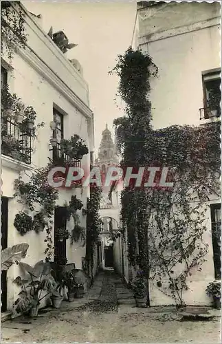 Cartes postales moderne Cordoba Calleja de las Flores Ruelle des Fleurs Ed Aisa