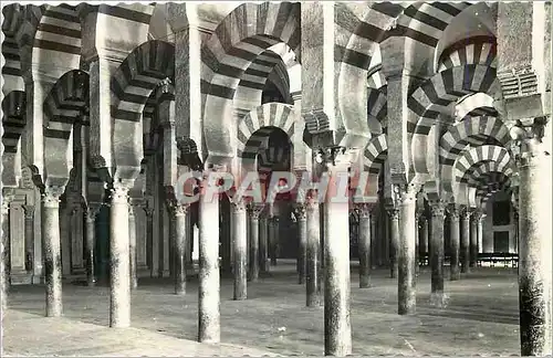 Moderne Karte Cordoba Laberinto de columnas Labyrinthe de colonnes Ed Aisa