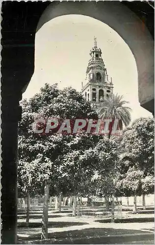 Cartes postales moderne Cordoba Patio de los Naranjos Ediciones Sicilia Zaragoza Tarjeta Postal Prohibida la reproduccio