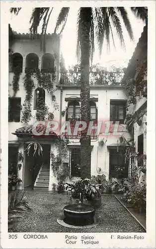 Cartes postales moderne Cordoba Patio tipico Cour Typique F Roisin Foto