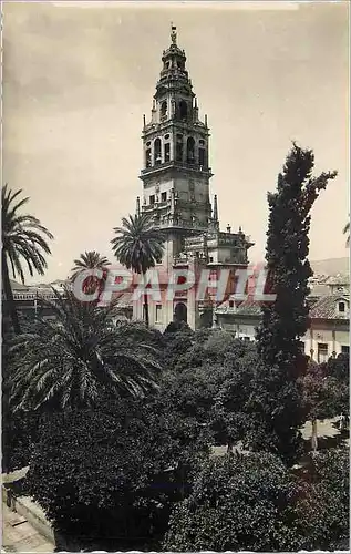 Cartes postales moderne Cordoba Patio de los Naranjos Torre de la Mezquita Cour des et Toute la Mosque Ediciones Arribas