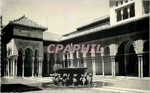 Moderne Karte Granada Alhambra Patio de los Leones Tarjeta Postal Ediciones Fotograficas Hijos de Gallegos Gra