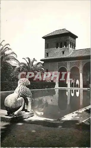 Cartes postales moderne Granada Alhambra Jardines del Partel Tarjeta Postal Ediciones Fotograficas Hijos de Gallegos Gra