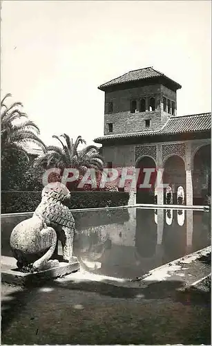 Moderne Karte Granada Alhambra Jardines del Partel Tarjeta Postal Ediciones Fotograficas Hijos de Gallegos Gra