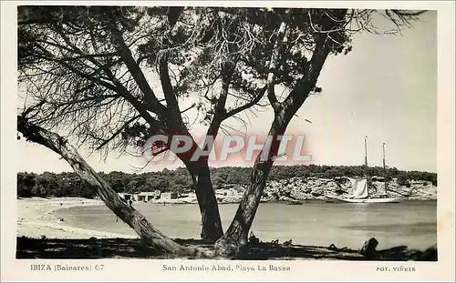 Cartes postales moderne Ibiza Baleares San Antonio Abad La Playa Bassa Fot Vinets