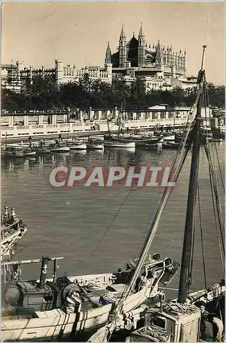 Cartes postales Palma de Mallorca La Cathedral Foto Edicion Truyol Prohibida reproduccion 23 May 57