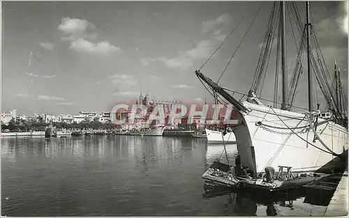 Cartes postales Mallorca Palma Vista parcial del Puerto Vue partiele du Port Tellansicht des Hafens Foto Casa Pl