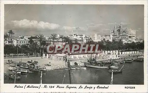 Ansichtskarte AK Palma Mallorca Paseo Sagrera La Lonja y Catedral Rotger 14 Abr 28 Reproduccion prohibida Cliches