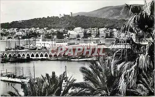 Ansichtskarte AK Mallorca Palma Vista parcial del Puerto desde La Lonja Foto Casa Planas Palma Reproduccion la pr