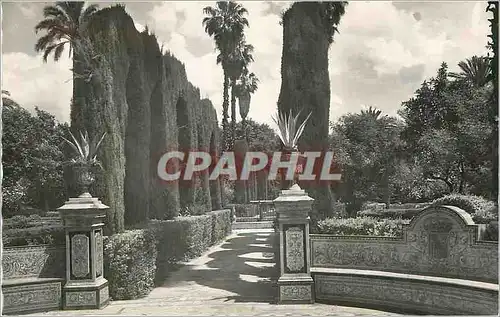 Cartes postales Sevilla Reales Alcazares Jardines Seville Palais Royaux Jardins Ediciones Garcia Garabella Zarag