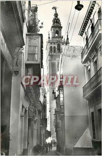 Cartes postales moderne Sevilla La Giralda desde la calle de Placentines La Giralda des la Rue de Placentines Heliotipia