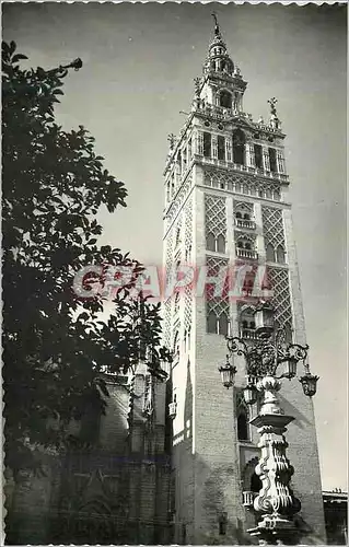 Cartes postales moderne Sevilla La Giralde Ediciones Sicilia Zaragoza Prohibida la reproduccion