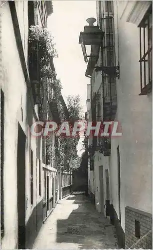 Cartes postales moderne Sevilla Barrio de Santa Cruz Calle de la Pimienta Seville Quartier de la Sainte Croix Rue du Poi