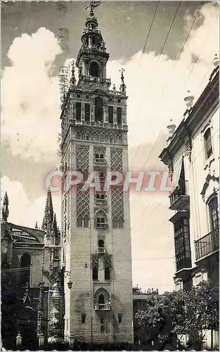 Cartes postales moderne Sevilla La Giralda Ediciones Sicilia Zaragoza Distribuidor Creaciones Edipow Prohibida la reprod