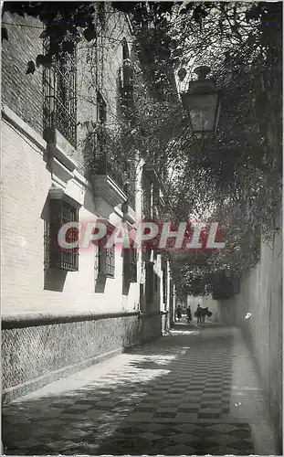 Moderne Karte Sevilla Barrio de Santa Cruz Callejon del Agua Seville Quartier de la Sunte Croix Ruelle le l Ea