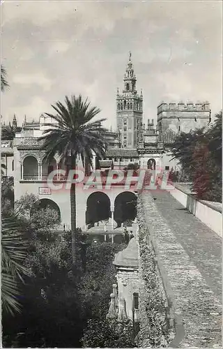 Cartes postales moderne Sevilla La Giralda desde los Reales Alcazares Heliotipia Artistica Espanola Madrid