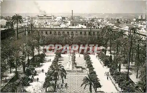 Cartes postales moderne Sevilla Plaza Nueva Ediciones Sicilia Zaragoza Tarjeta Postal Prohibida la reproduccion