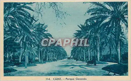 Cartes postales Cadiz Parque Genoves